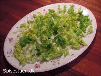 lun-fennikel-salat-3
