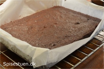 svampet-chokoladekage-11