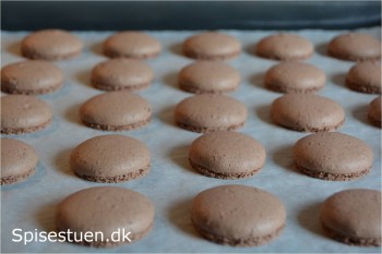 pekan-macarons-15