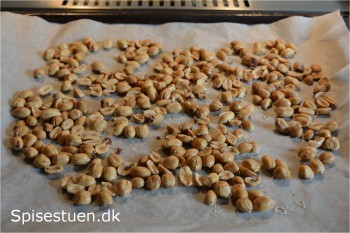 ristede-og-saltede-peanuts-7