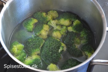 broccoli-dyp-3