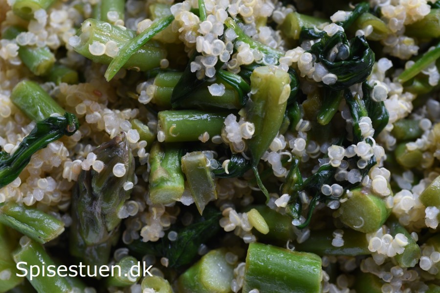 lun-quinoa-salat-12