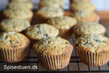 vaniljemuffins-med-havregryn-og-chokolade-1-22